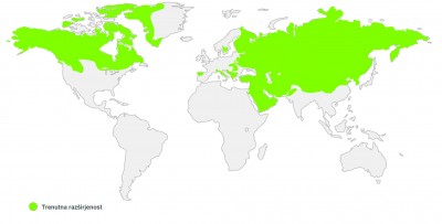 Zemljevid sveta - razširjenost